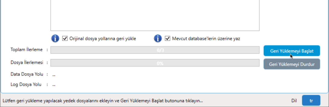 Geri Yüklemeyi Başlatma