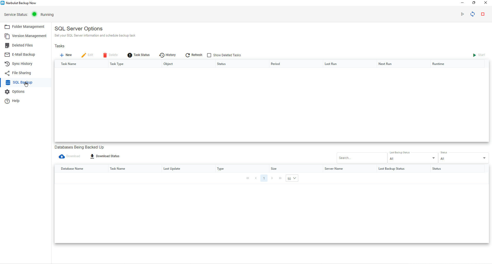Adding SQL task